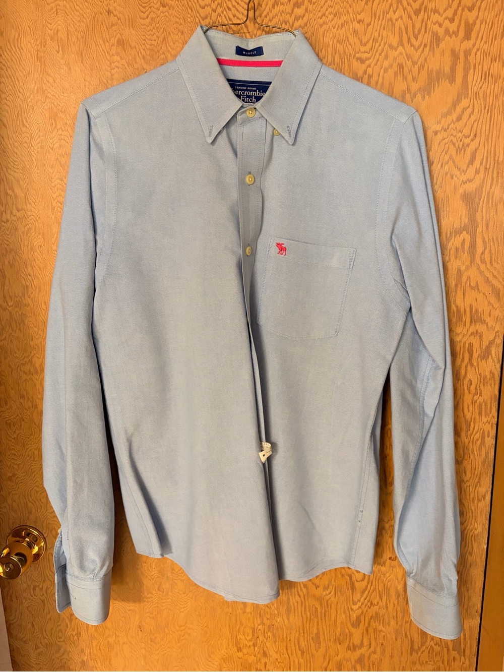 Abercrombie & Fitch Light Blue Long-Sleeve Button-Down Shirt with Pink Logo
